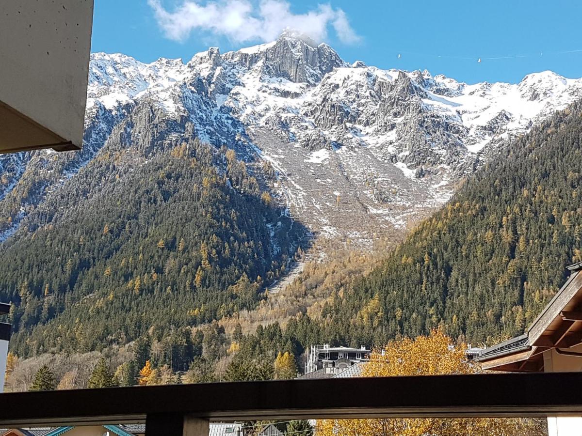 Vue Brevent Sublime En Centre Ville Avec Parking Prive Chamonix Ngoại thất bức ảnh